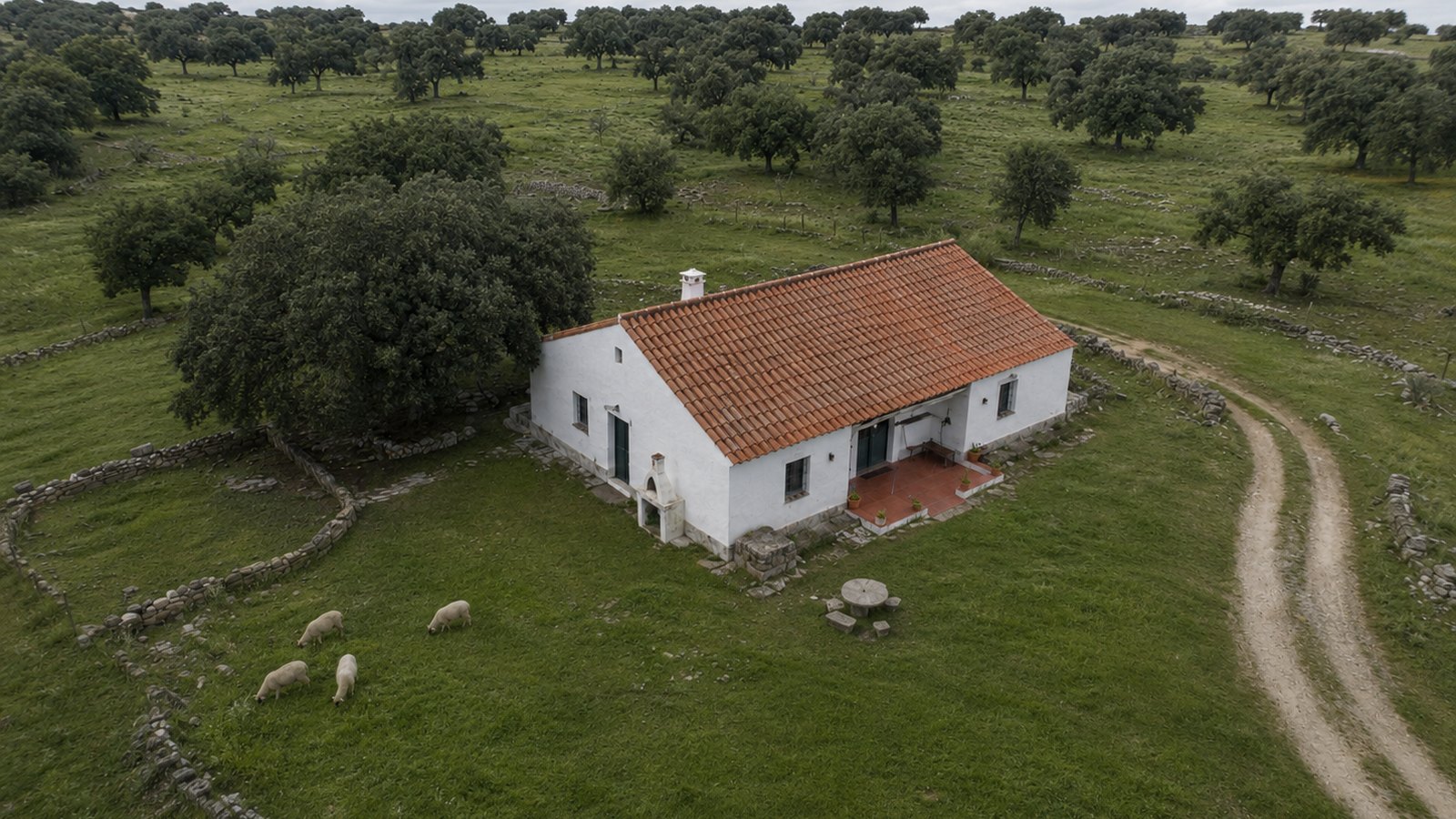 Antes — Valencia de Alcántara (Cáceres)